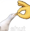 Shut_up_Shut_DAVID