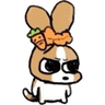 hehe
