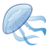 VenusJellyfish