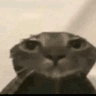 __