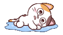 meongsad