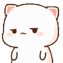 fscatgngngn