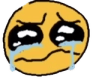 whybulli