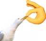 shut