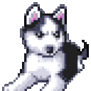 Husky