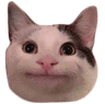 PoliteCat