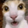 catwth