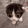 emoji_357