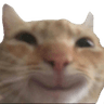 30_happy_cat