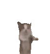 30_happy_cat_gif