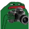 34_caught_pepe_bro