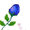 blue_rose