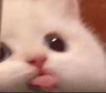 p_