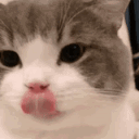 CatMlem