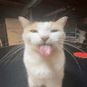 emoji_127