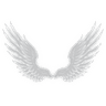 gra_wings