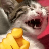 emoji_316