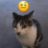 emoji_324