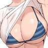 BOOBSraiseshirt