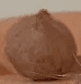 RolandCoconut