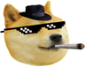 Mlg_Doge