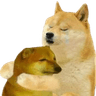 doge_hug
