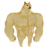 Swole_DOGE