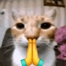 Pray