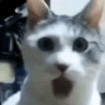 gasp