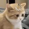 __