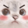cat_Mad_Hmph