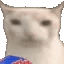 1cateat