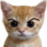 cat_sus