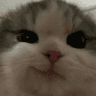 catsmirk