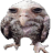 Bertiluciateolhando
