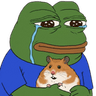 95522pepehamster