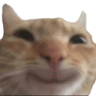 39143catsmile