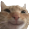 emoji_213