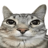 emoji_214