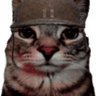 emoji_215