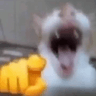 emoji_217