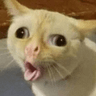 emoji_221