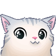 kitty_uwu
