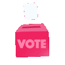 ballot