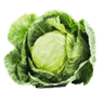 cabbagebby