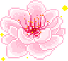 hhpinkflower_pinkbloom