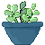 hhplant_succulant
