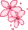 FnT_Pink_Flowers