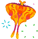 FnT_Bug_Moth_3