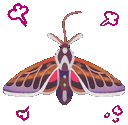 FnT_Bug_Moth_13